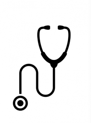 Animage Brest-Guipavas Scanner veterinaire et chirurgie